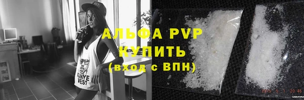 прущие грибы Ладушкин
