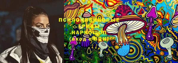 PSILOCYBIN Лагань