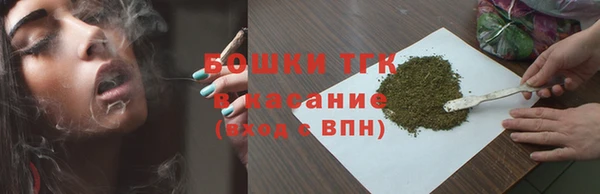 прущие грибы Ладушкин