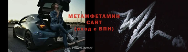 прущие грибы Ладушкин