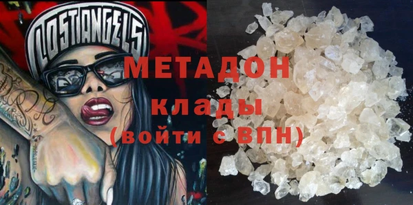 прущие грибы Ладушкин