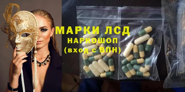 прущие грибы Ладушкин