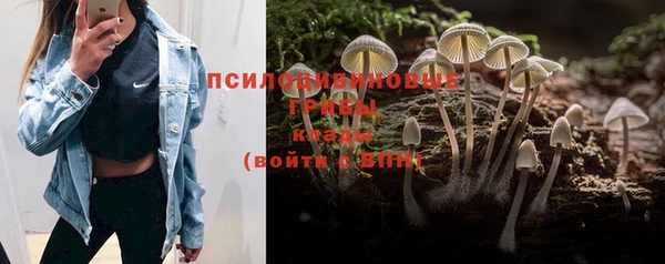 PSILOCYBIN Лагань