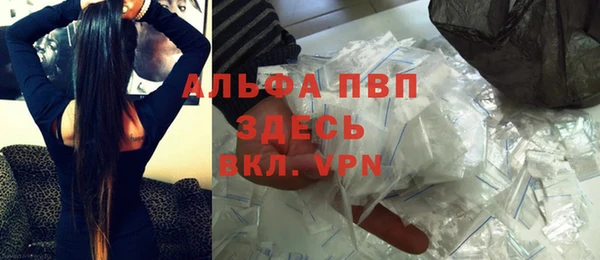 прущие грибы Ладушкин