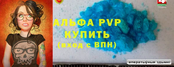 прущие грибы Ладушкин