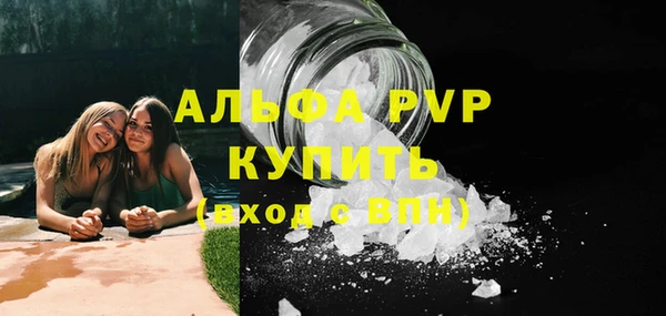 прущие грибы Ладушкин