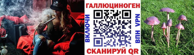 Купить  Медногорск  Псилоцибиновые грибы мицелий 